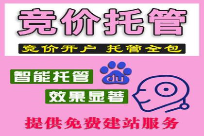 竞价托管案例：精准定位，提升转化率